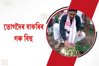 goru-bihu-celebrations-in-jorhat