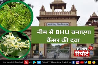 bhu