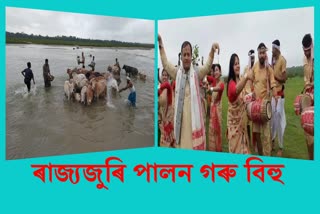 goru-bihu-celebrations-in-different-part-of-assam