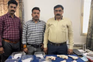 Arms smugglers arrested in Bhopal