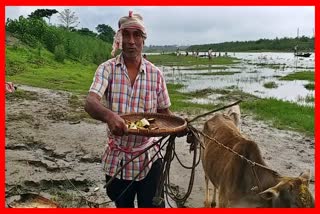 goru-bihu-celebrations-in-biswanath