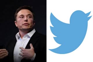 Elon Musk Twitter