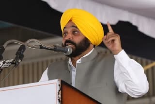 punjab-cm-bhagwant-mann