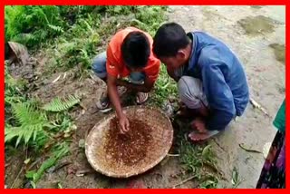 traditional-food-red-ant-on-bohag-bihu