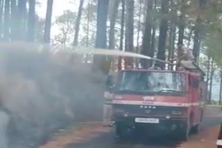 Fire unit extinguished forest fire