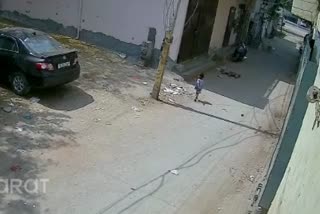 child-fell-in-open-sewerage-manhole