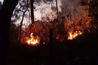 Forest fire in Dharamshala