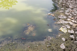 pond full of dirt in Bakhtwarpur of delhi