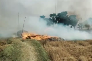 धनौती गांव में गेहूं की खेत में लगी आग