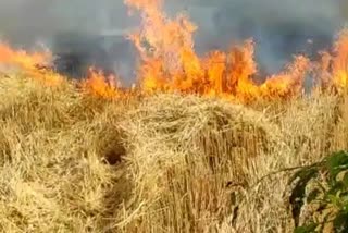 Straw Management