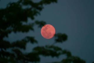 full pink moon to illuminate the sky