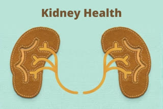 Lithium on Kidney Health