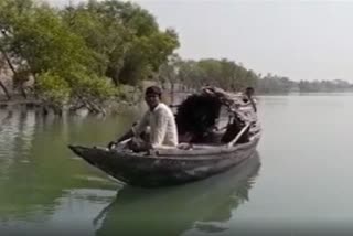 Peoples of Sundarbans Going to Deep Forest for Finding Honey After 2 Years