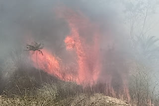 Fire broke out in Bigha forest of Hazaribag