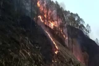 Forest fire breaks out in hills of Pithoragarh