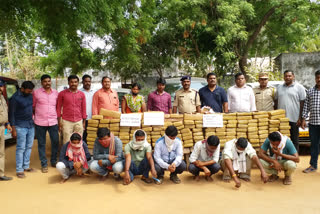 50 lakh worth of cannabis