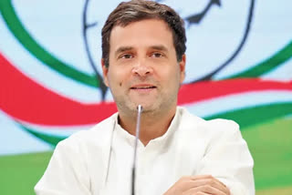 Rahul Gandhi to begin Congress' Gujarat campaign with tribal rally on May 1