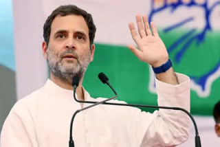 rahul gandhi  gujarat election  gujarat election campaigns  Rahul Gandhi's tribal rally  ഗുജറാത്ത് തെരഞ്ഞെടുപ്പ്  രാഹുല്‍ഗാന്ധി  ഗുജറാത്ത് തെരഞ്ഞെടുപ്പ് റാലി  ഗുജറാത്ത് തെരഞ്ഞെടുപ്പ് പ്രചാരണറാലി