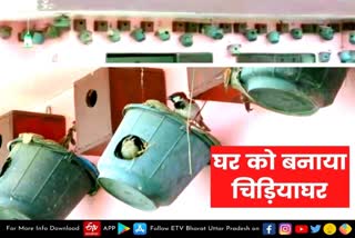 गौरैया संरक्षण का लिया संकल्प, अपने घर को बनाया चिड़ियाघर  Siddharthnagar latest news  etv bharat up news  गौरैया संरक्षण का लिया संकल्प  घर को बनाया चिड़ियाघर  made zoo home  Pledge to conserve sparrows  सिद्धार्थनगर जनपद के बर्डपुर ब्लॉक  घर को बनाया चिड़ियाघर