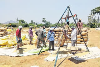 paddy purchasing centres