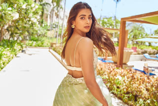 pooja hegde saree pictures