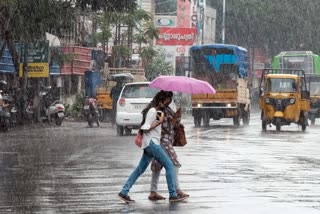 heavy rainfall in kerala  kerala rain latest  kerala weather updates  കേരളം മഴ വാര്‍ത്ത  കേരളം ശക്തമായ മഴ തുടരും  മൂന്ന് ജില്ലകളില്‍ യെല്ലോ അലര്‍ട്ട്