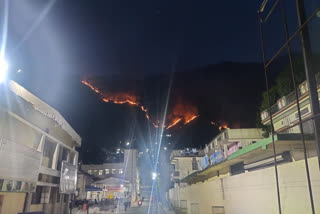 forest fire reached near sri nagar medical college