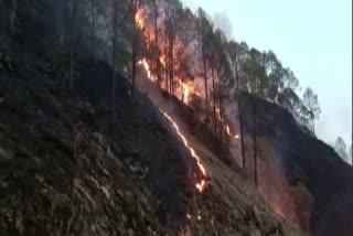 Uttarakhand Forest Fire moving towards residential settlements, Srinagar Medical College