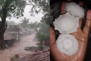 hailstorm-accompanied-by-rain-in-sahibganj