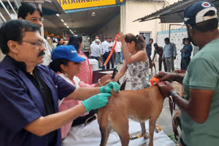Dog vaccination camp at Tatanagar railway station