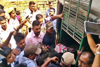 Bear on the loose rescued in Jaipur after several hours