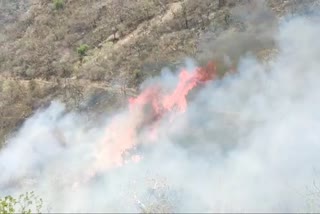 Fire continues in Sajjangarh Sanctuary hills