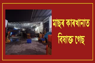 5-workers-die-after-inhaling-poisonous-gas-at-mangalores-fish-factory