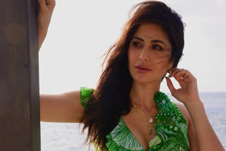 Freddy Birdy trolls Katrina Kaif