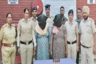 old lady thief arrested in chandigarh