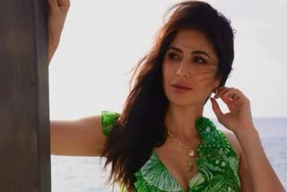 Katrina Kaif was trolled by social media influencer  കത്രീനയുടെ പാചകത്തെ ട്രോളി സോഷ്യൽ മീഡിയ ഇൻഫ്ളുവൻസർ  കത്രീന കൈഫ്  കത്രീന കൈഫിനെ ട്രോളി ഫ്രെഡി ബേർഡി  Katrina Kaif