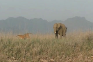 Corbett National Park