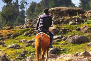 Tourist, horse he was riding killed in freak accident in J&K Pahalgam