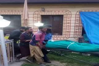 Tourist was Killed after Falling Tree In Pahalgam: پہلگام میں پیڑ کی زد میں آکر سیاح گھوڑا سمیت ہلاک