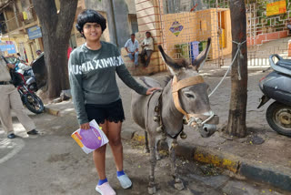 Pet donkey arrested in sharad pawar house attack case