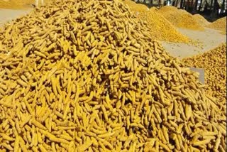 erode-turmeric-market-today-price-updateஈரோடு மஞ்சள் ஒழுங்குமுறை விற்பனை கூடத்தில் இன்றைய மஞ்சள் விலை நிலவரம்மஞ்சள் விலை நிலவரம்