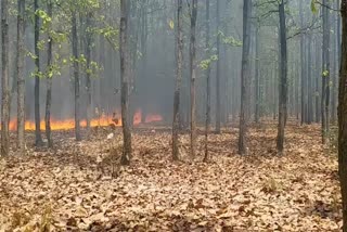 Fire in Shahdol forest