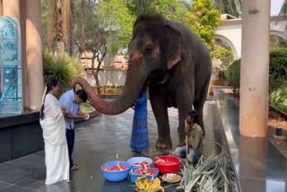 Gali Janardhana Reddy pays worship to elephant