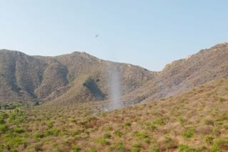 fire in Udaipur Sajjangarh sanctuary area