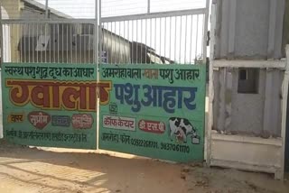 ग्वाला पशु आहार.