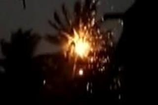 Coconut tree catches fire after lightning strikes