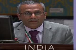 India at UNSC reiterates call for cessation of violence in Ukraine