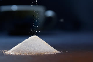 India’s sugar production set to jump by 13% in this season