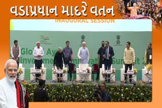 Global AYUSH Summit 2022: આયૂષ સેક્ટરમાં પણ રોકાણ વધારવાનો સમય આવી ગયો છેઃ PM