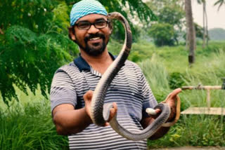 Animal lover helps to keep snakes alive as it is a part of ecosystem